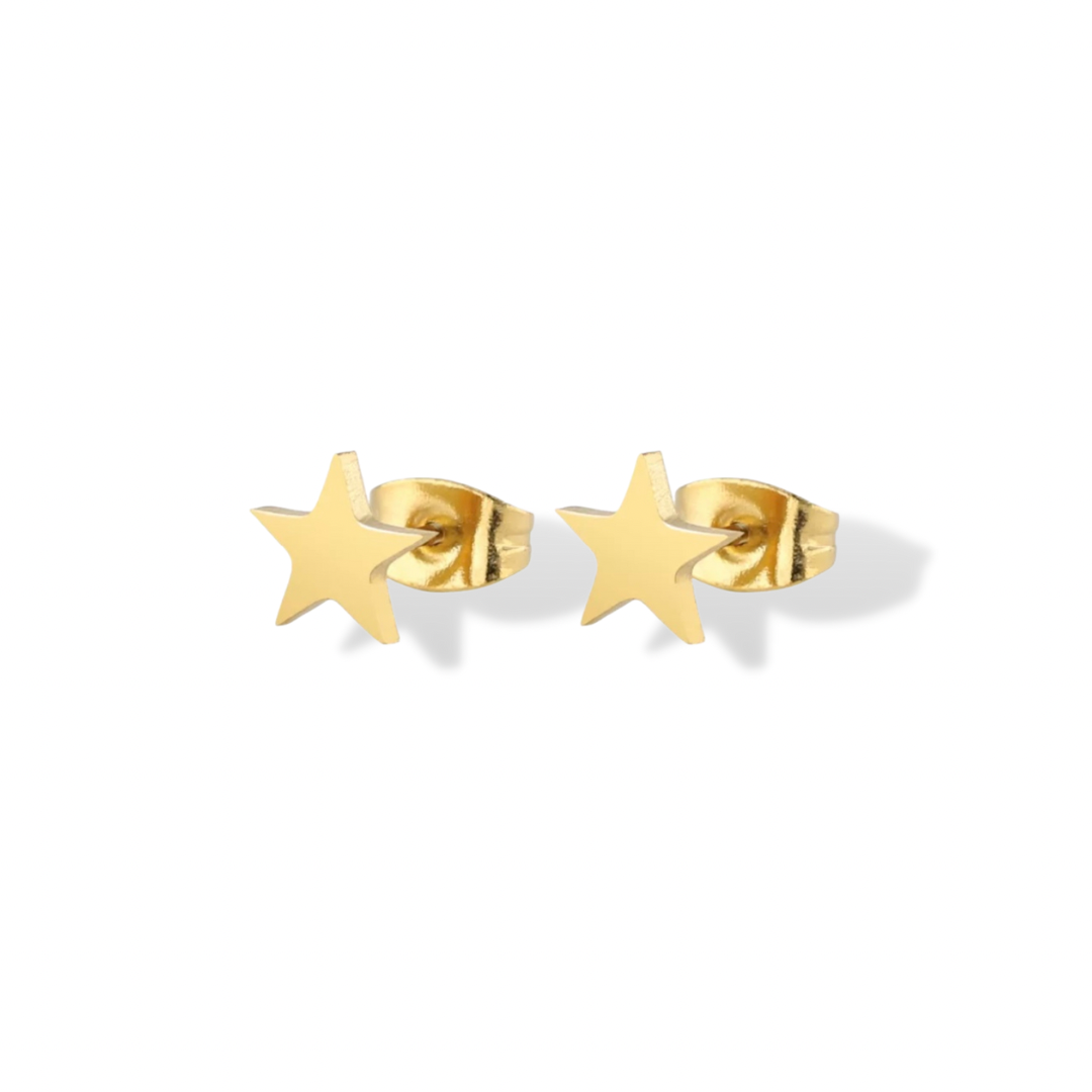 Aretes de estrella pequeña