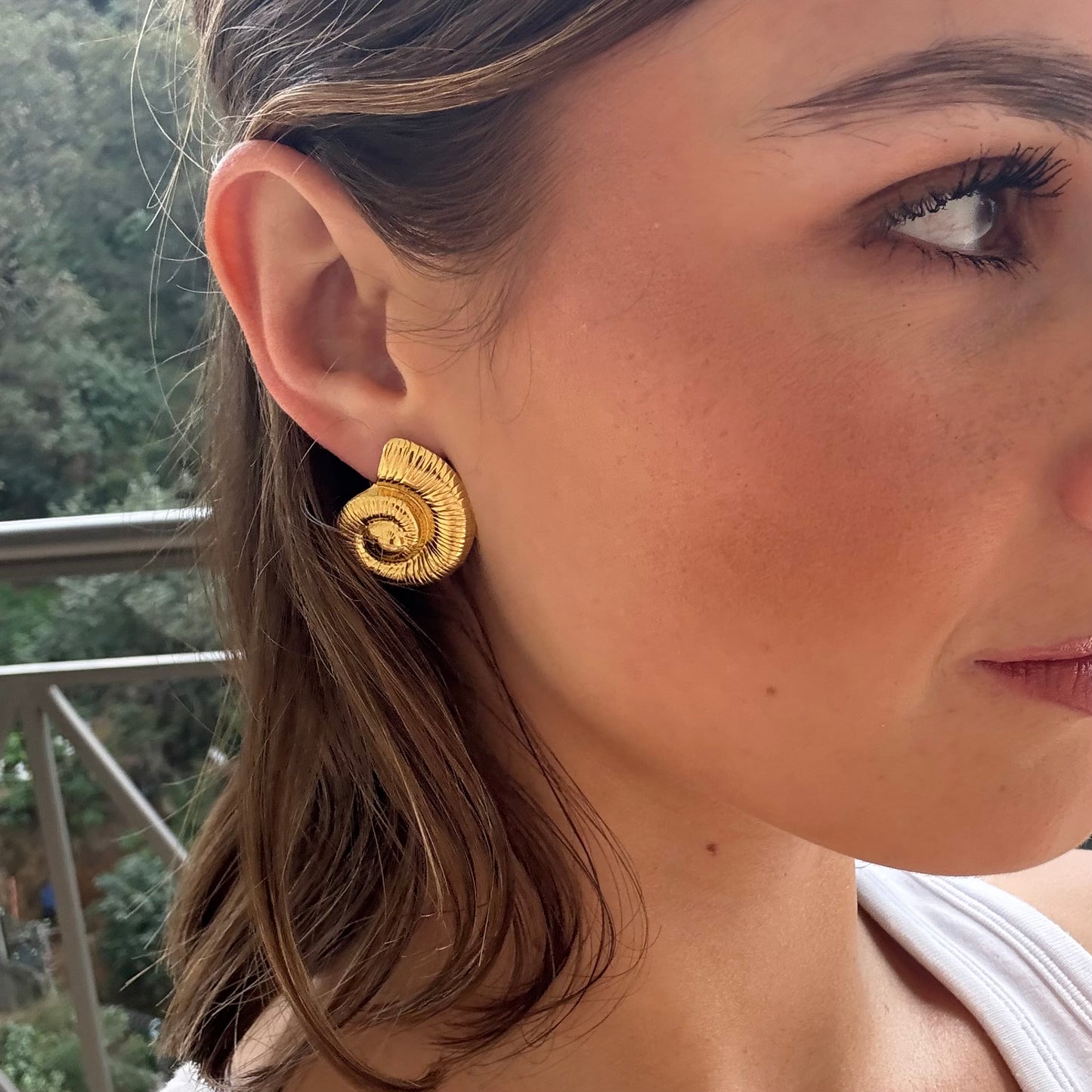 Aretes concha