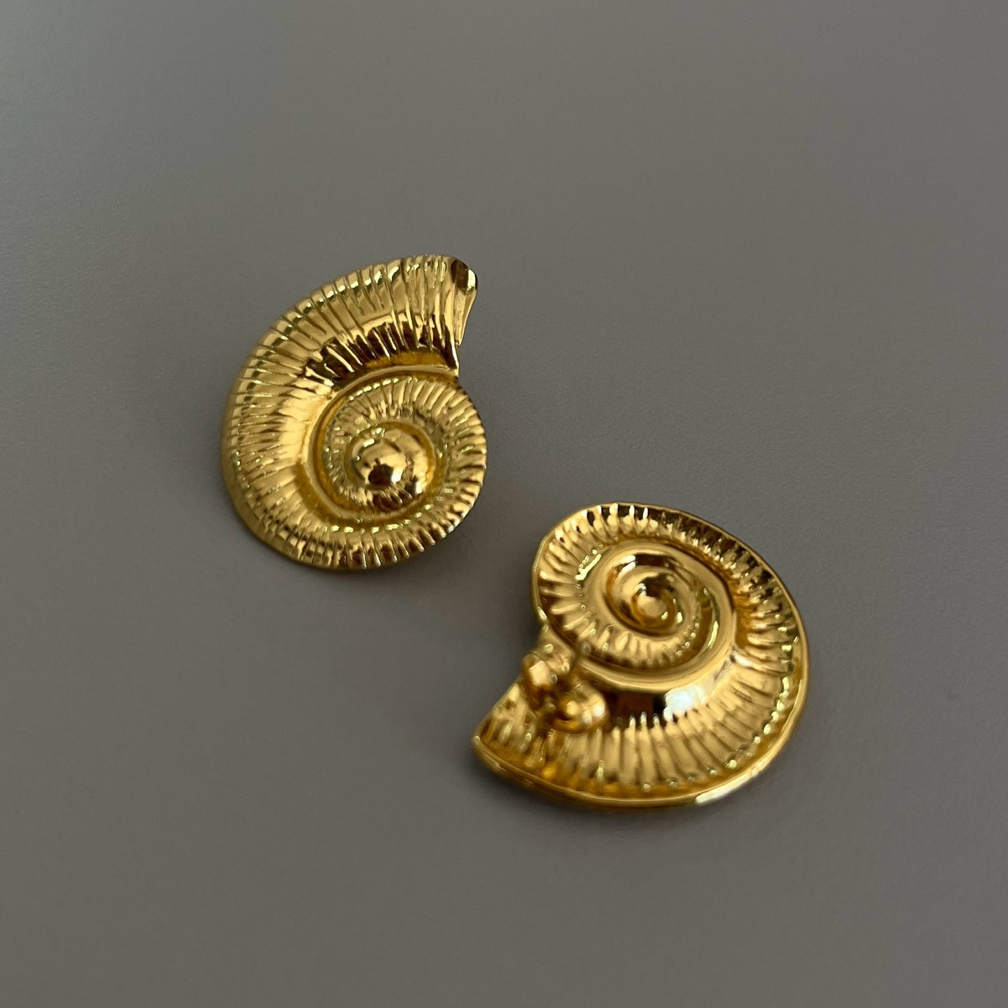 Aretes concha