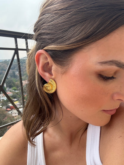 Aretes concha