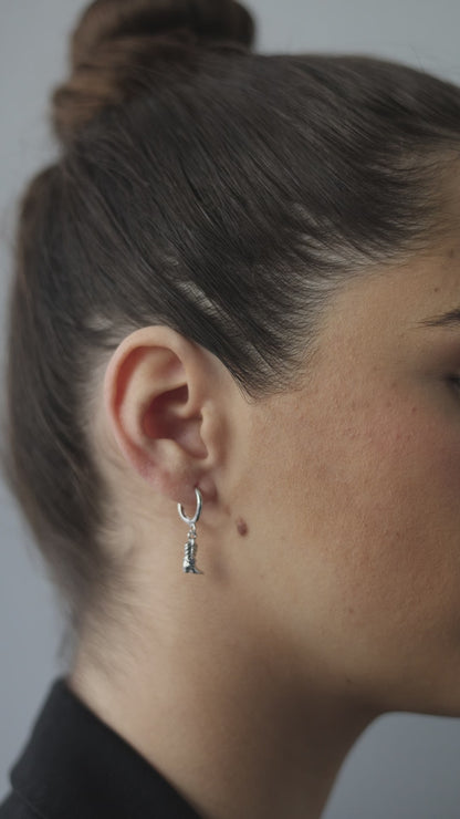 Aretes cowboy
