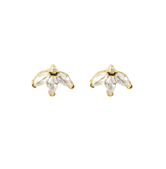 Aretes media flor